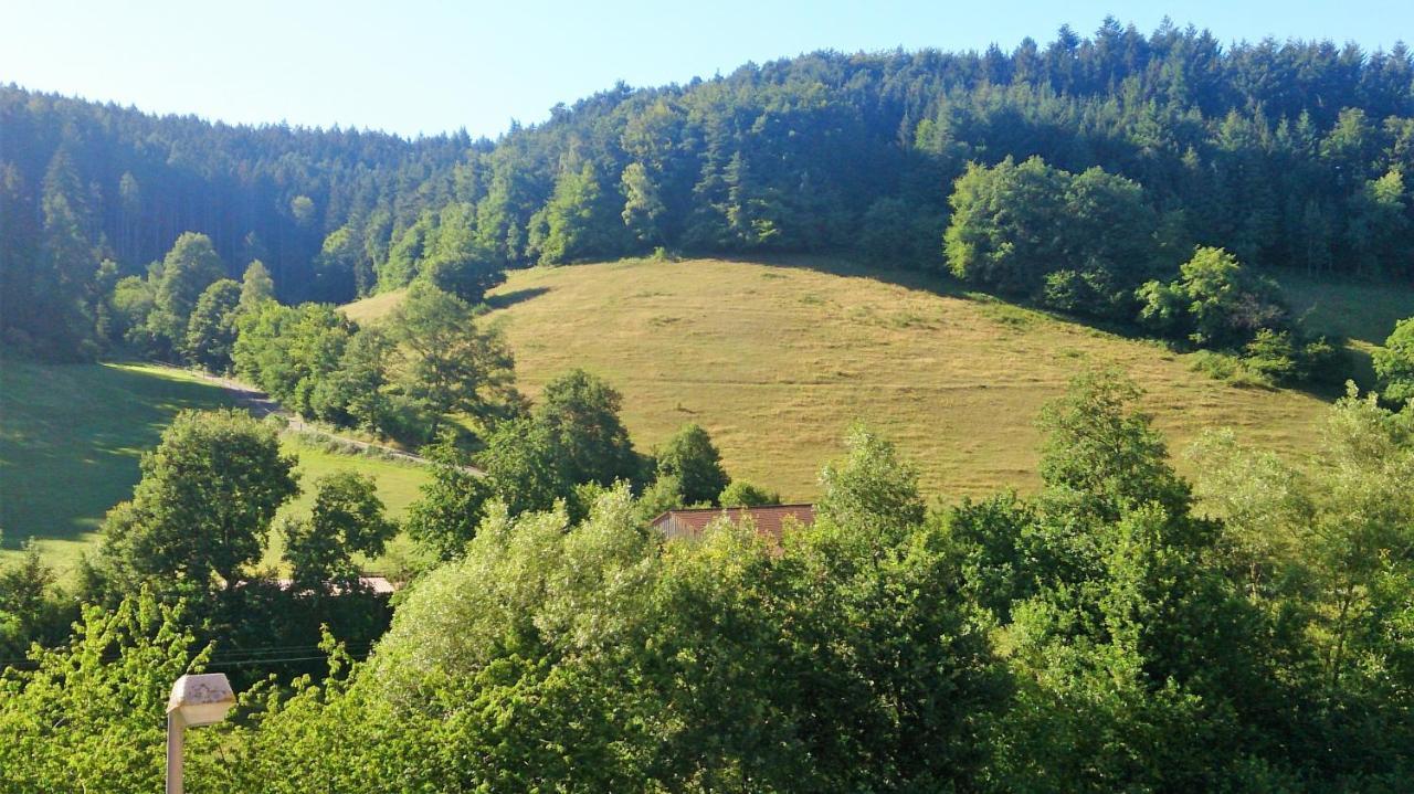 Hotel Gasthof Zur Krone Oberzent المظهر الخارجي الصورة